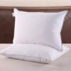 Homelike Moment Down Feather Pillows Standard - 2 Pack Feather Bed Pillows for Sleeping Standard Size Pillow Set of 2 100% Cotton Cover