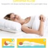 Homelike Moment Down Feather Pillows Standard - 2 Pack Feather Bed Pillows for Sleeping Standard Size Pillow Set of 2 100% Cotton Cover